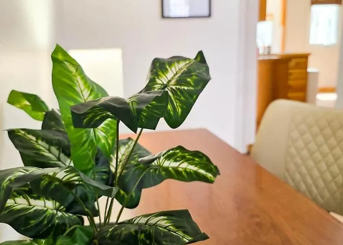 3 Bd, 2 Ba, 6-8 For Families, Near Park & Uw